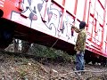 nicenewredtrain