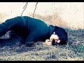 CaReLeR CaReSiZ SeN YoKKeN!! CaReLeR CaReSiZ SeN YoKKeN!!