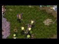 Starcraft