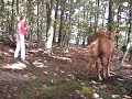 Heinz Welz longiert ein Pferd um ein Hindernis herum (mehr: www.heinzwelz.de)