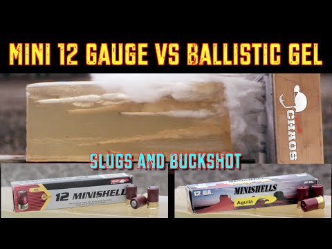 how to buy 12 gauge ammo