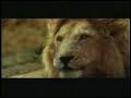 Comercial chistoso: comida corriendo