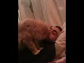 Alex making out with my cat