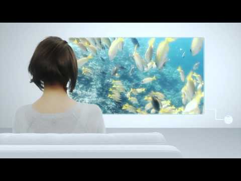 Image de prévisualisation YouTube