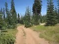 ATV ride in Tahoe National Forest