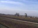 Auschwitz 2008 Part 2