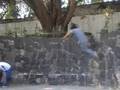 Wall walkers