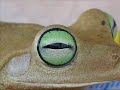 Ecología un estilo de vida Ecología un estilo de vida