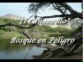 Videos De Sexo Con Camaras Ocultas En Hoteles De Lima.