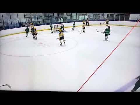 Dangle & Primary Assist