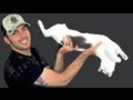 Mean Kitty - The Longest Kitty 8.2.09