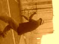 fluidos toxicos bboy alexuno