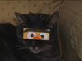 Cat of a 1000 Faces - Episode 2.