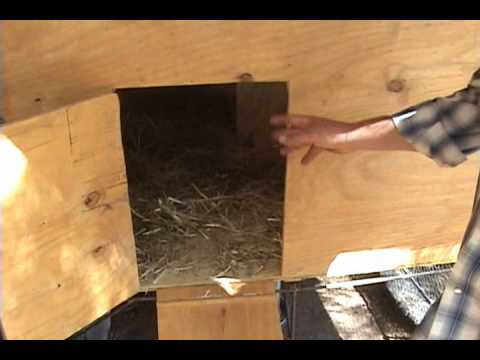 eggs ultimate chicken coop nutritionist karen roth building a chicken