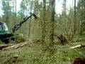 Gremo harvester/keto 100