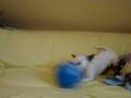 videos de MOV02879.MPG