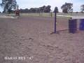 Andres Baxter (h) Haras Rey A