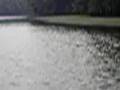 Government Ditch - Now With More Blur!