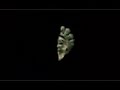 secret images of google earth