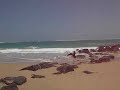Puerto Rico - Playa Isla Verde (paradise-puertorico.com)