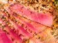 Rockes (Seafood Commerical)