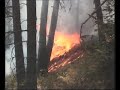 Russian invasion of Georgia (Kaspi - 16.08.08)