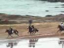 San Telmoak 2008. Zaldi Lasterketa Caballos.Zumaia San Telmoak 2008. Zaldi Lasterketa Caballos.Zumaia