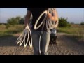 lajos nereus 11 rings