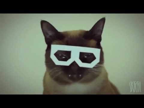 5 hours of Stereo Skifcha [Dubstep Hipster Cat]