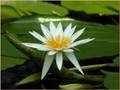 videos de Choose to be Happy - Naqshbandi Sufi Meditation