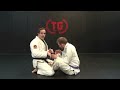 Butterfly Guard Pass