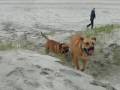 videos de Agila & Max