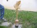Pepsi Geyser