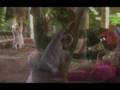Prenatal Yoga with Gurmukh - Trailer