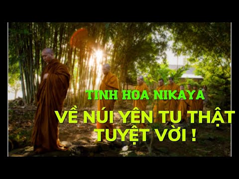 Tinh Hoa NIKAYA - Về Núi Yên Tu Thật Tuyệt Vời !