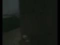 videos de tour of my house
