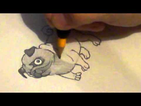 how to draw pugs