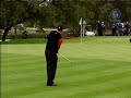 Tiger Woods - Chip Shot Tiger Woods - Chip Shot