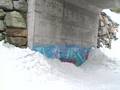 whistler park 2007