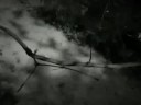 Re: kour 2008
