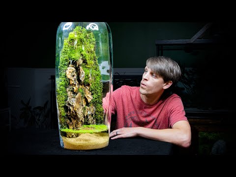 YouTube reptile video