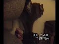 Queenie Condo Antics - Peek A Boo!