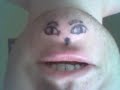 Mr Potato Head singing Numa Numa