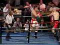 Kickboxing Knockout 