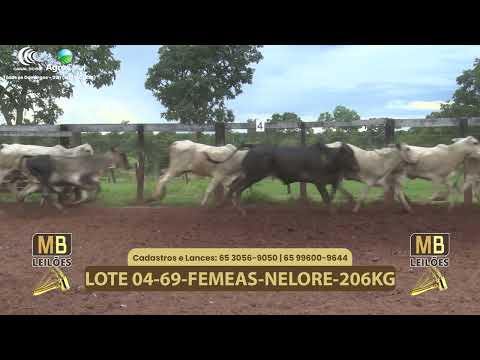 538� LEIL�O VIRTUAL MB LEIL�ES