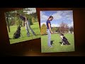 Click here to watch this video Online Dog Training Review + 8 Bonuses