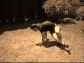 Scott Sonnon Prasara Parkour