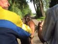 Wannes voor zijn eigen karretje