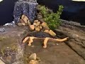 dinosaur claymation : extinction of the dinosaurs