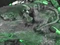 dinosaur claymation : extinction of the dinosaurs